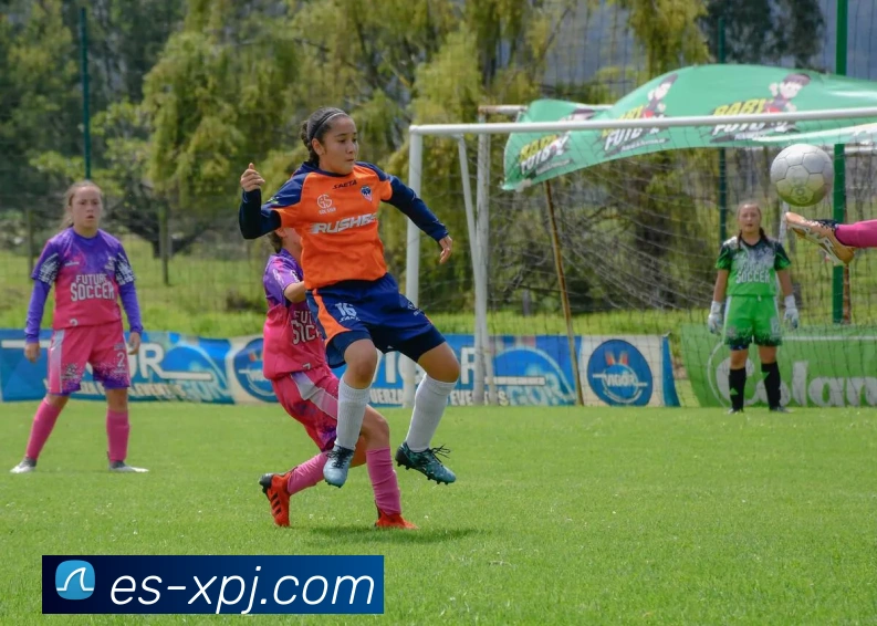 新葡京娱乐APP 封面图